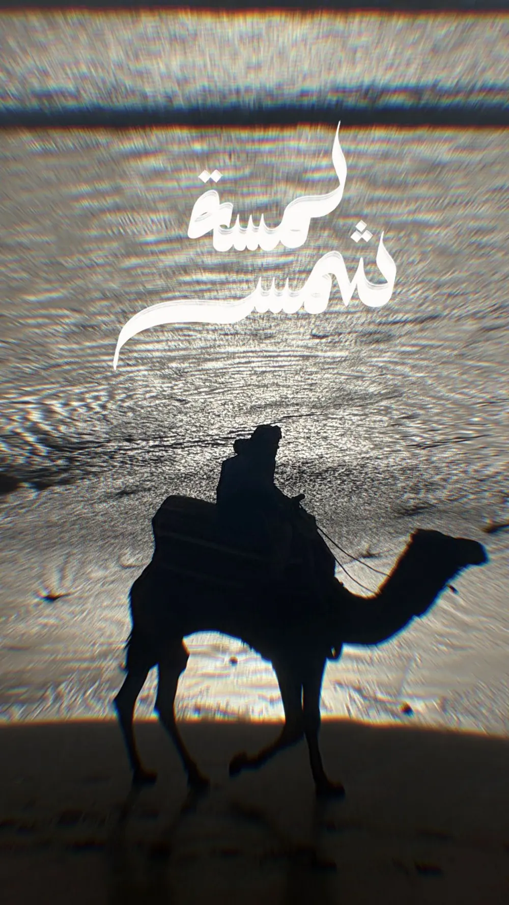 La silhouette d'un chameau et de son cavalier sur le sable mouillé, à contre-jour